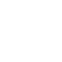 Previous