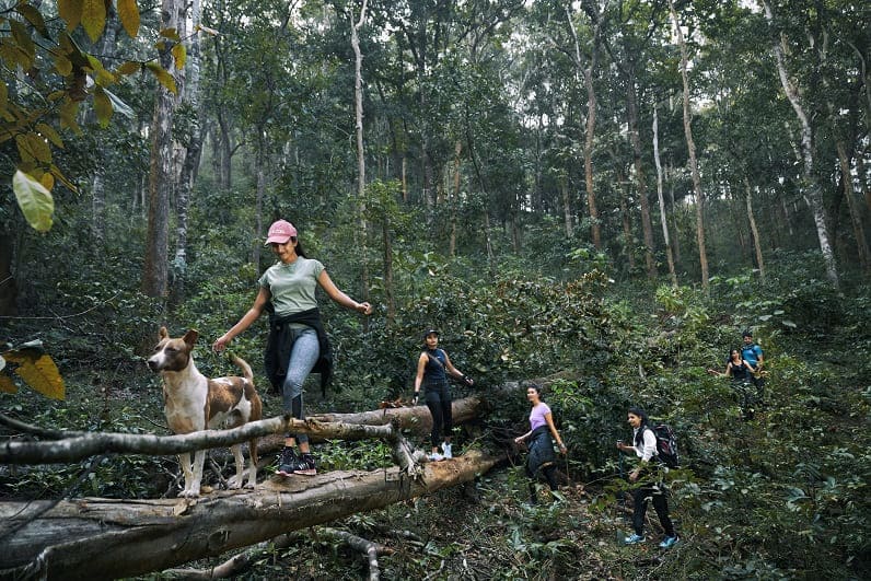 trekking